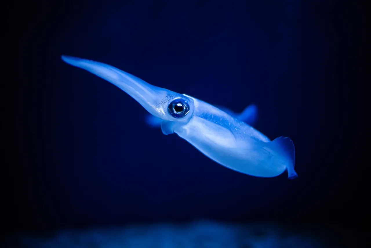 canstockphoto75075285.jpg