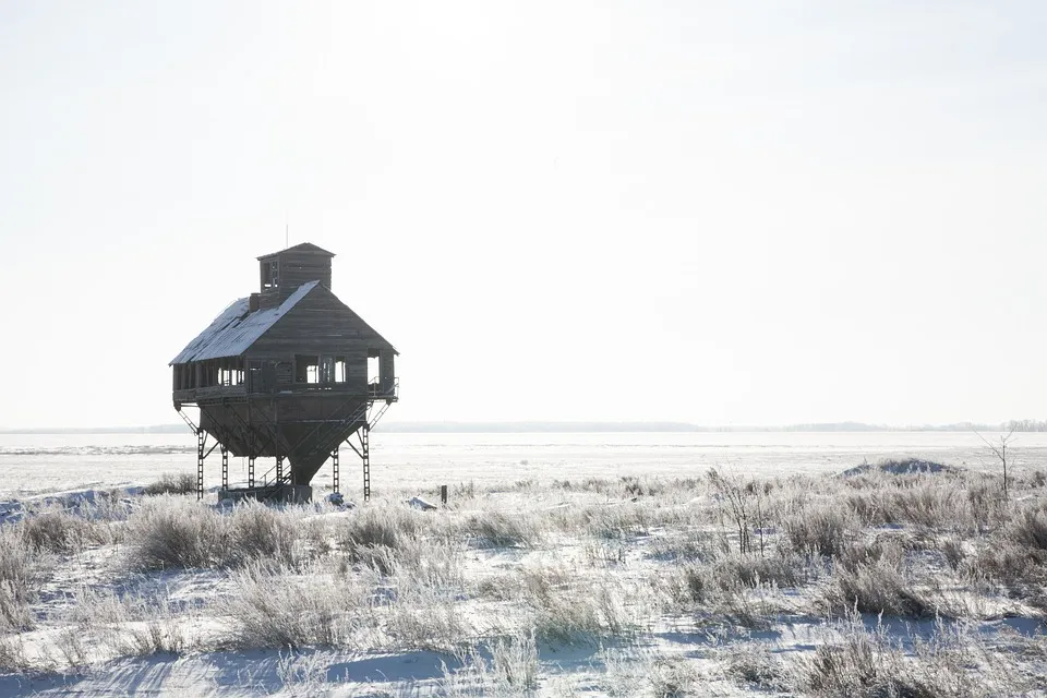 farmstead5899252_960_720.jpg