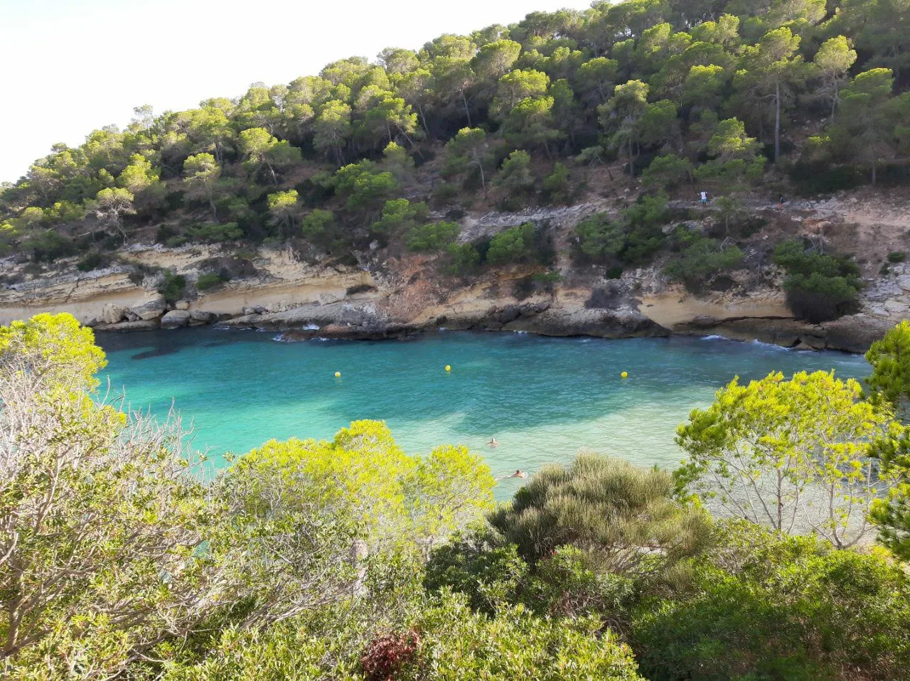 vista a la playa3.jpg