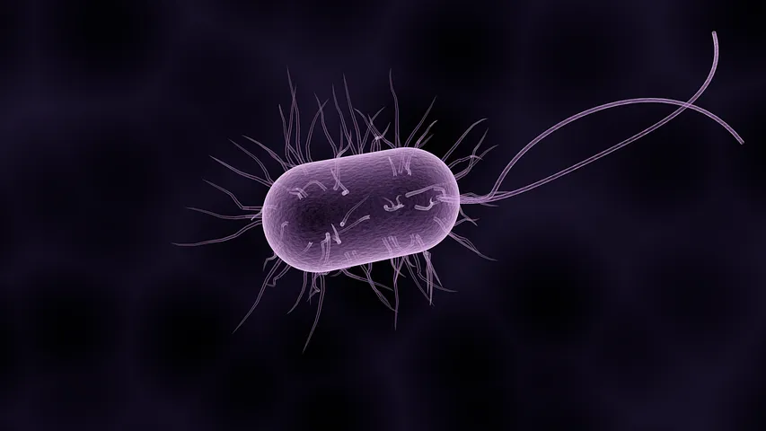 bacteria1832824__480.webp