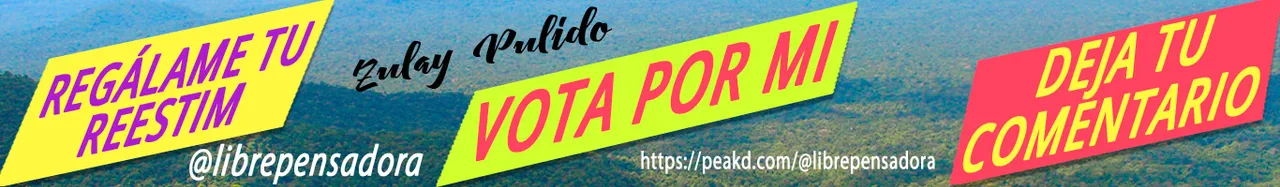 Cintillo_votame_22.jpg