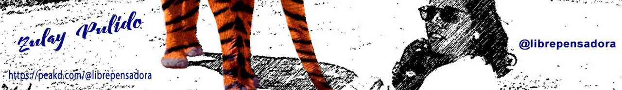 Cintillo_votame_42.jpg