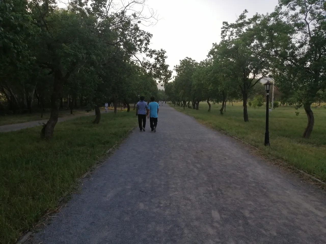 IMG_20200629_183445.jpg