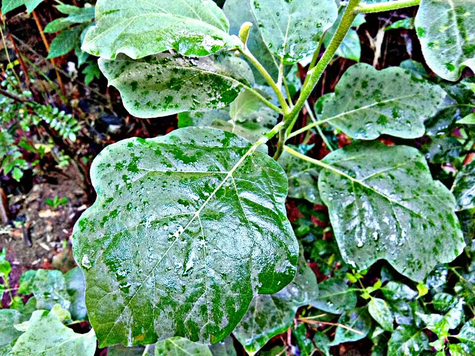 PicsArt_050809.47.16.jpg