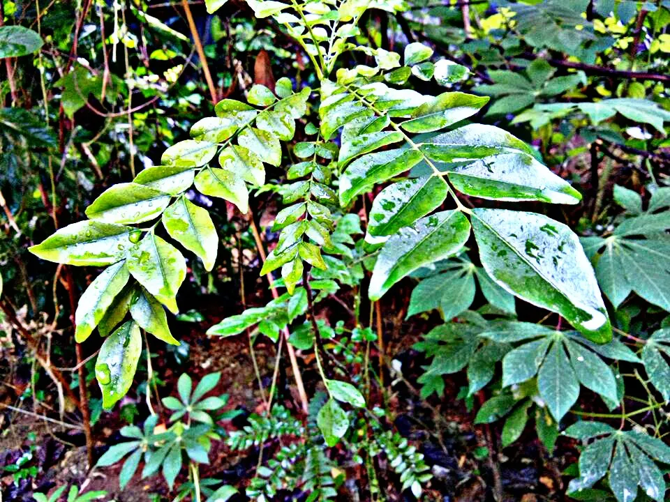 PicsArt_050809.47.46.jpg