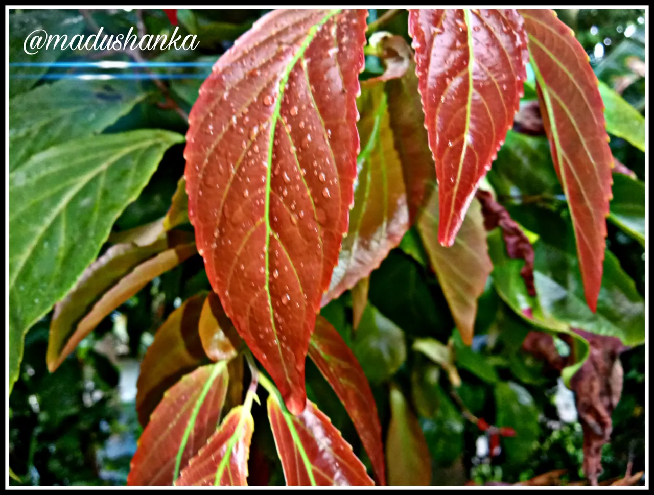 PicsArt_041204.22.50.jpg