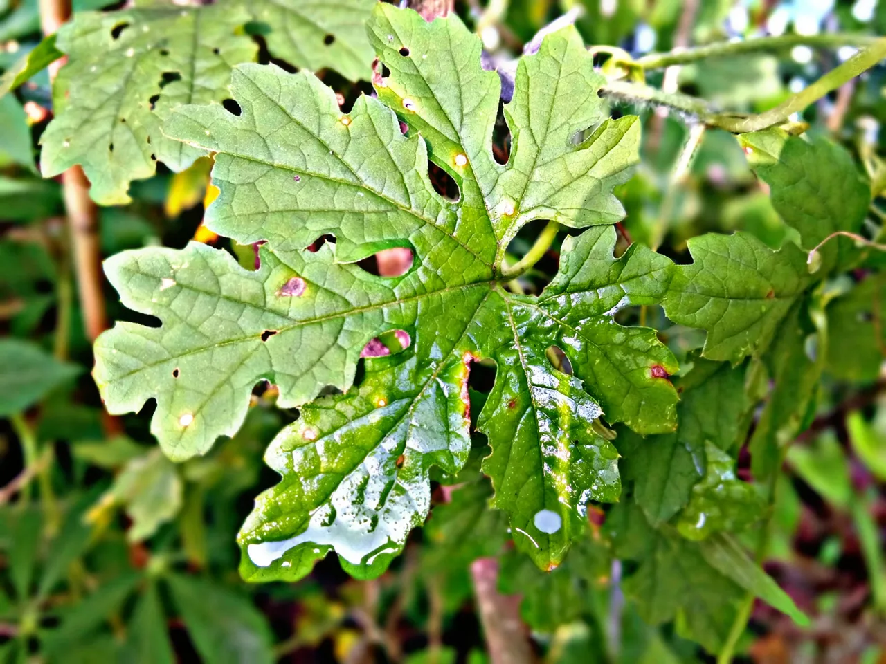PicsArt_050809.44.48.jpg