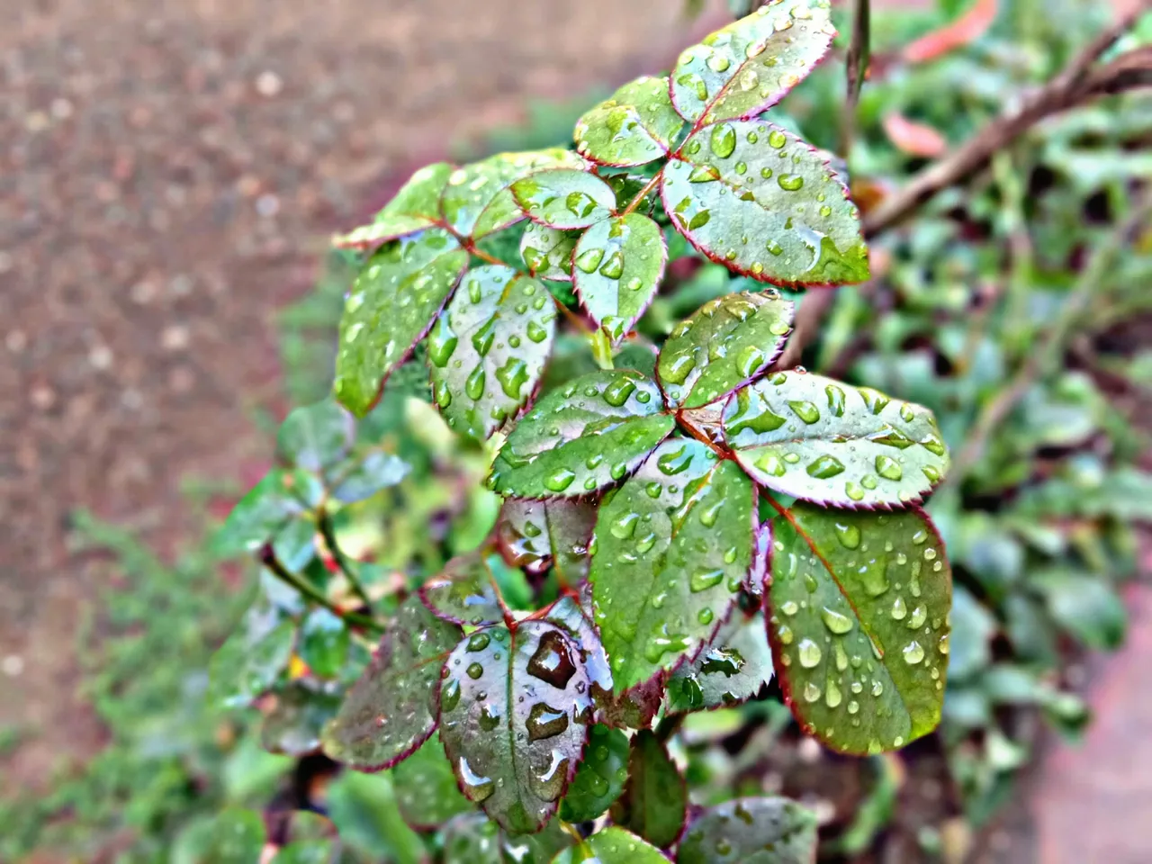 PicsArt_050809.44.17.jpg