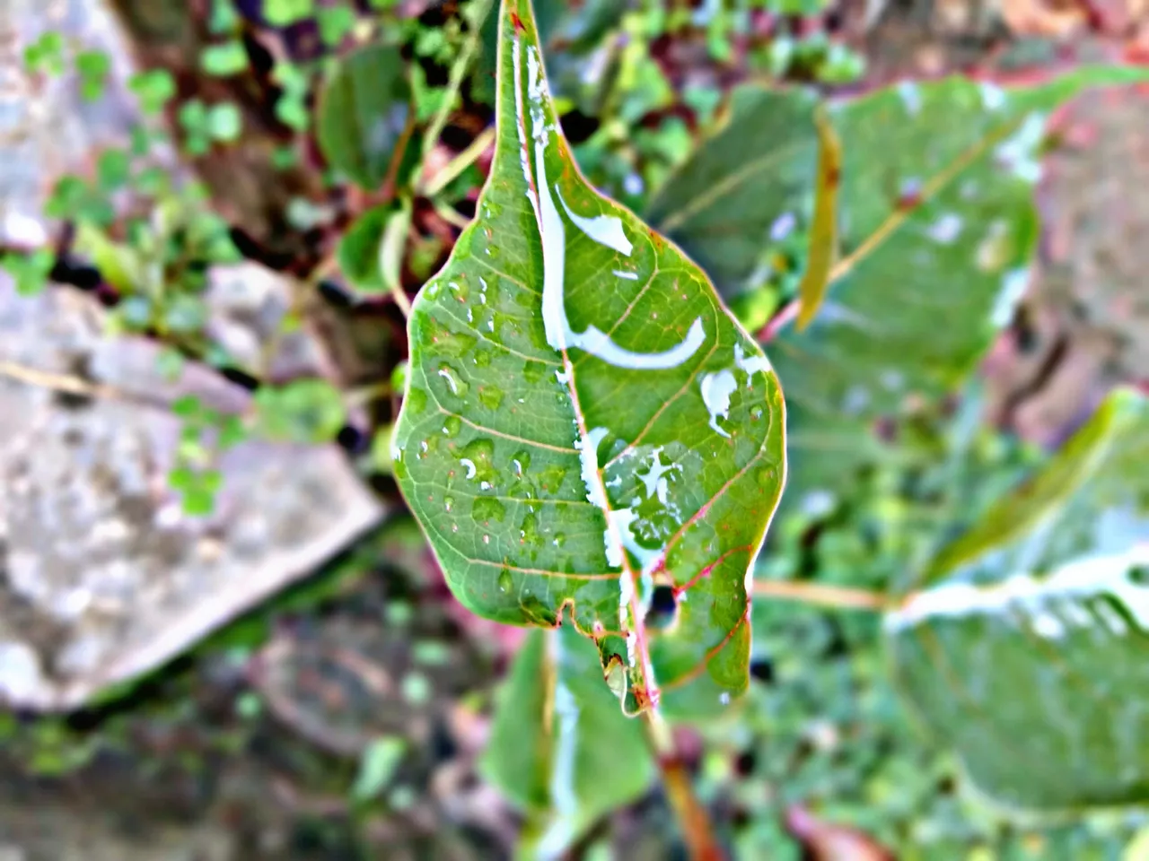 PicsArt_050809.46.16.jpg