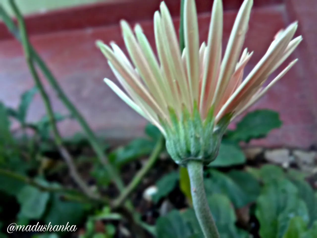 PicsArt_042511.51.37.jpg