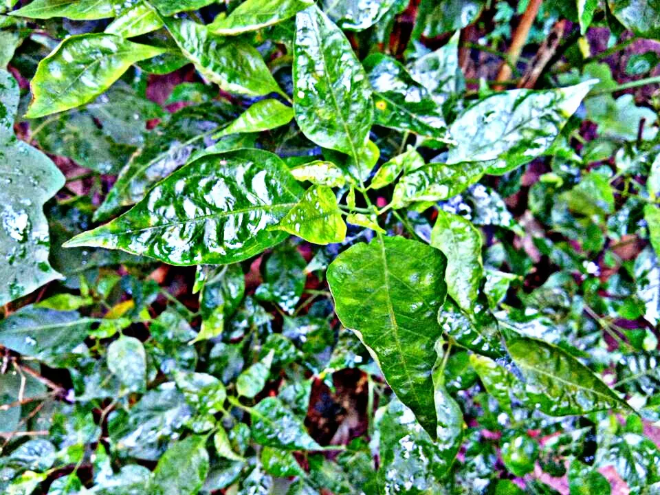 PicsArt_050809.46.47.jpg