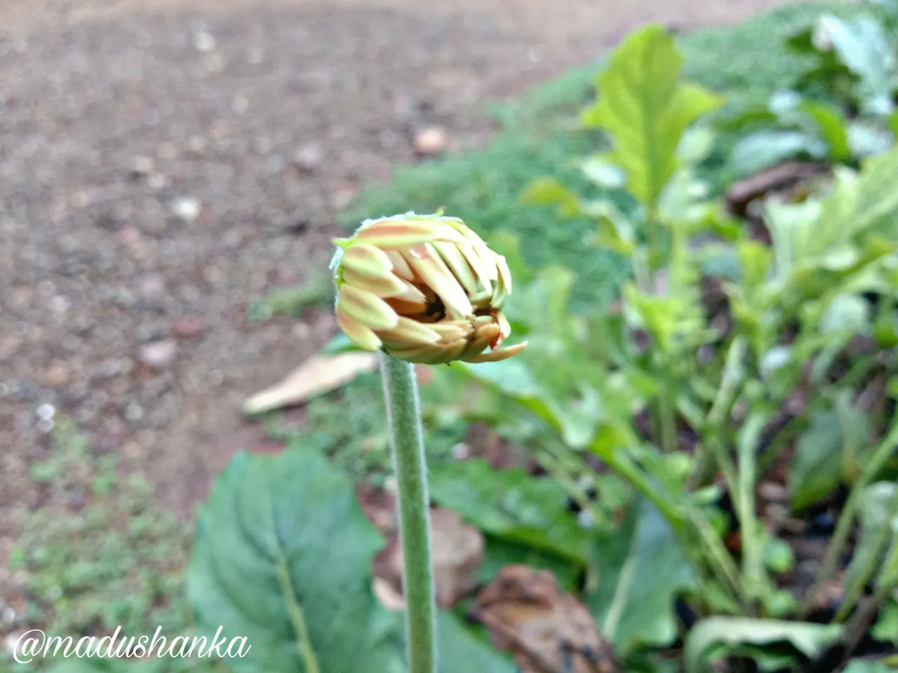 PicsArt_042511.53.27.jpg