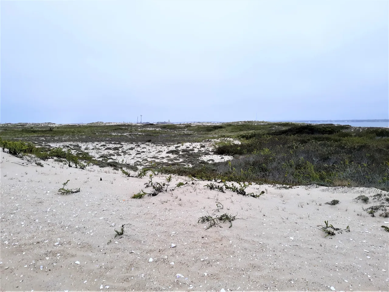 20201026_151145 2.jpg