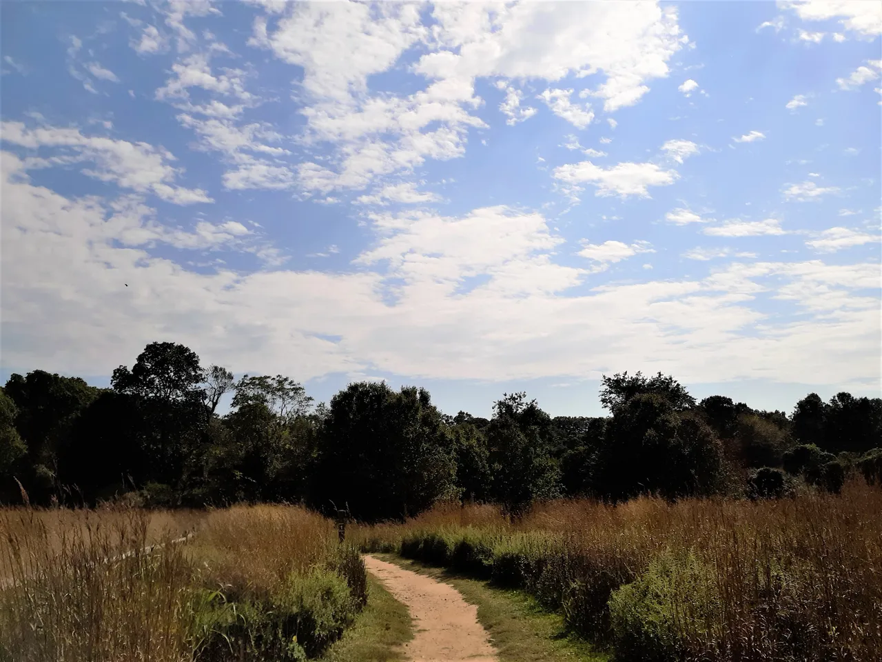 20201007_125504 2.jpg