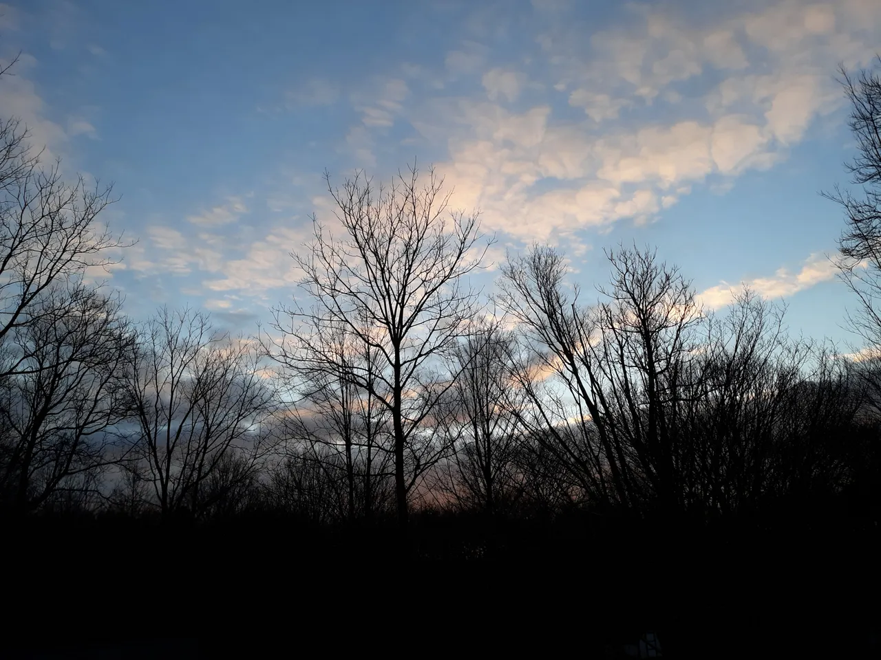 20201210_071906 1.jpg