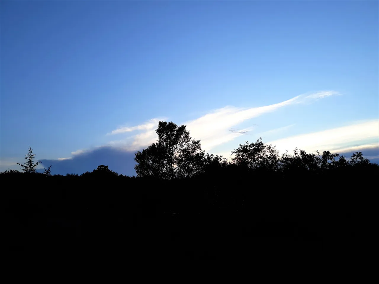 20200619_200522 2.jpg