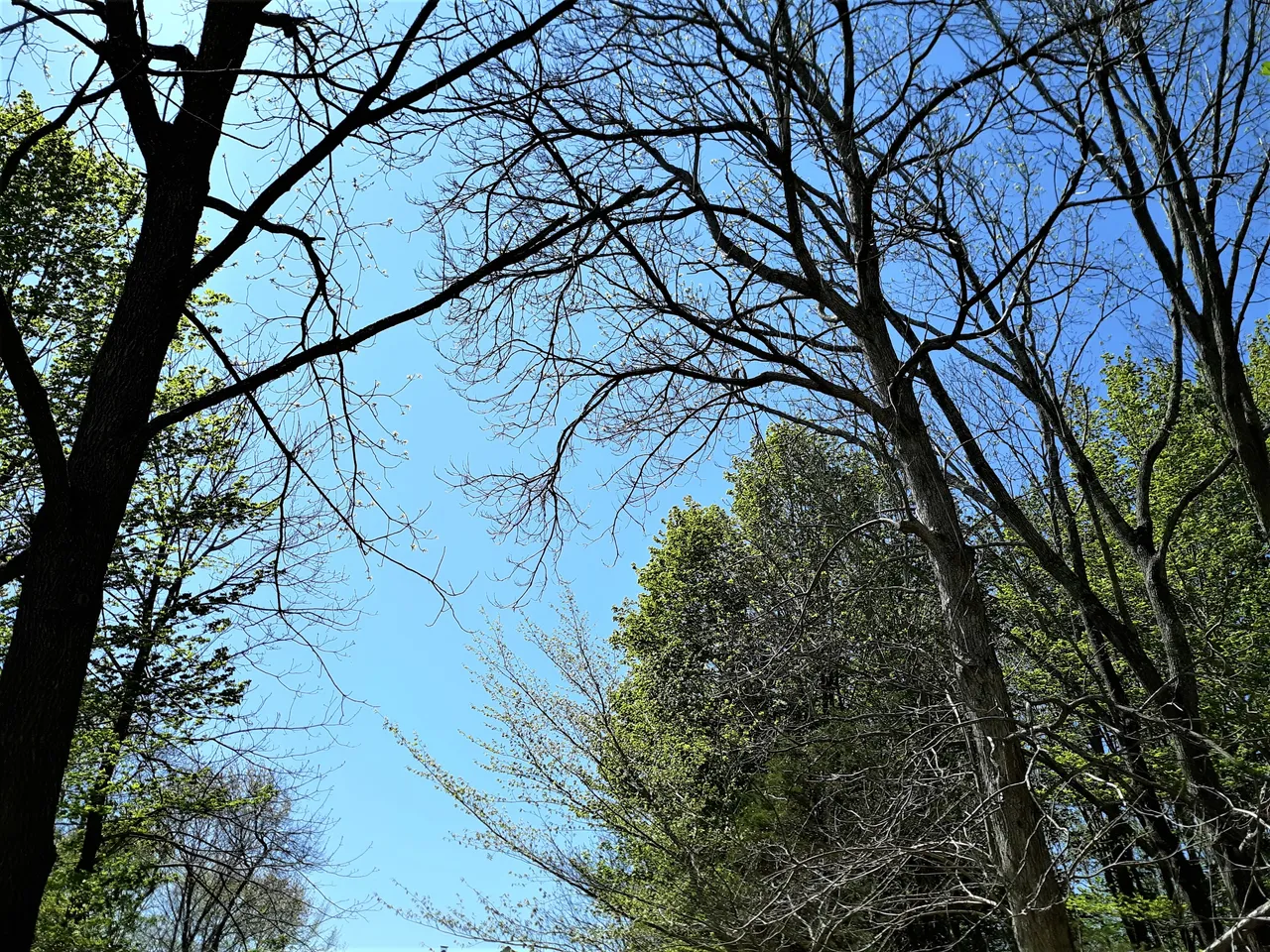 20200512_143801 2.jpg