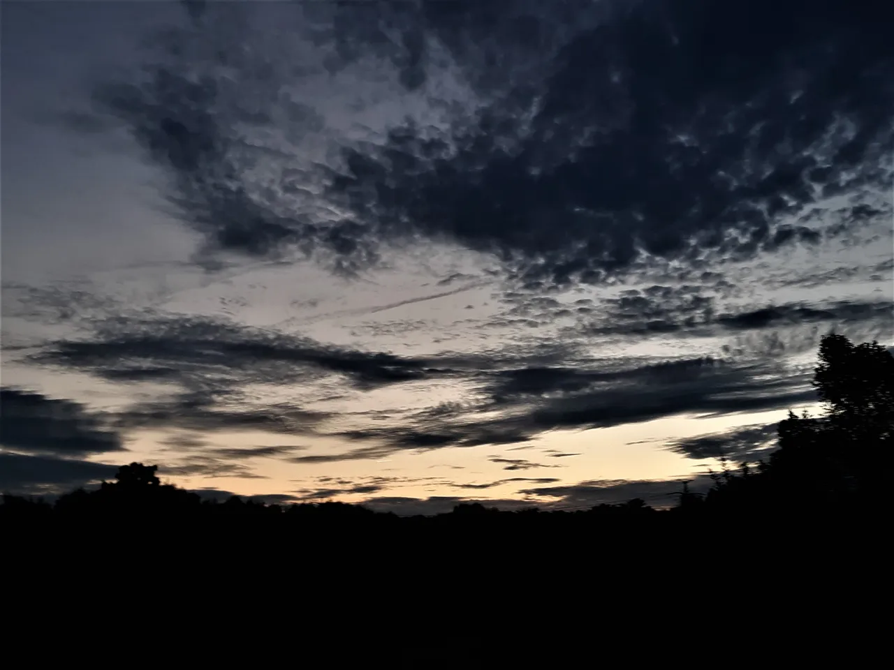 20200801_202132 2.jpg