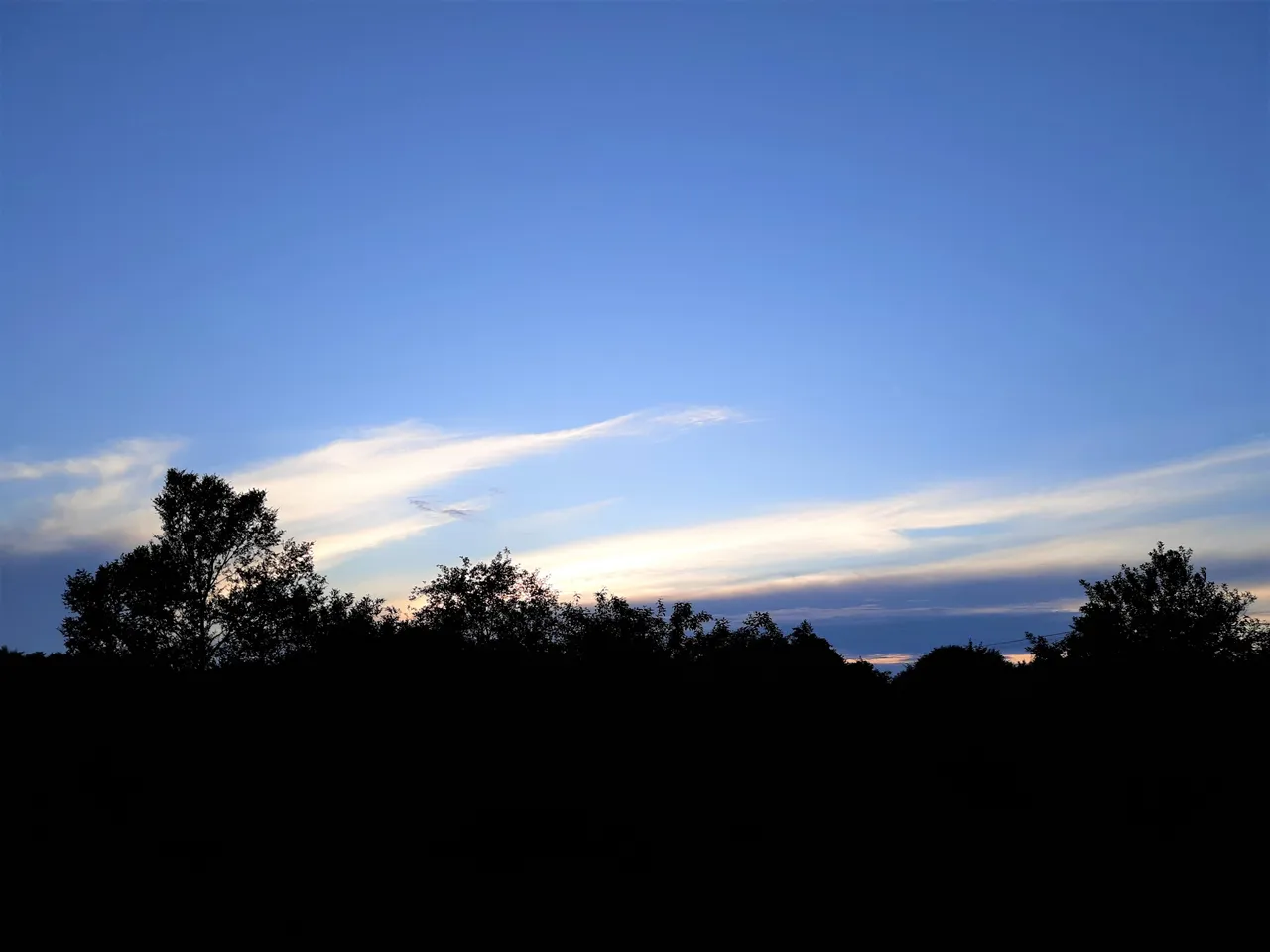20200619_200510 2.jpg