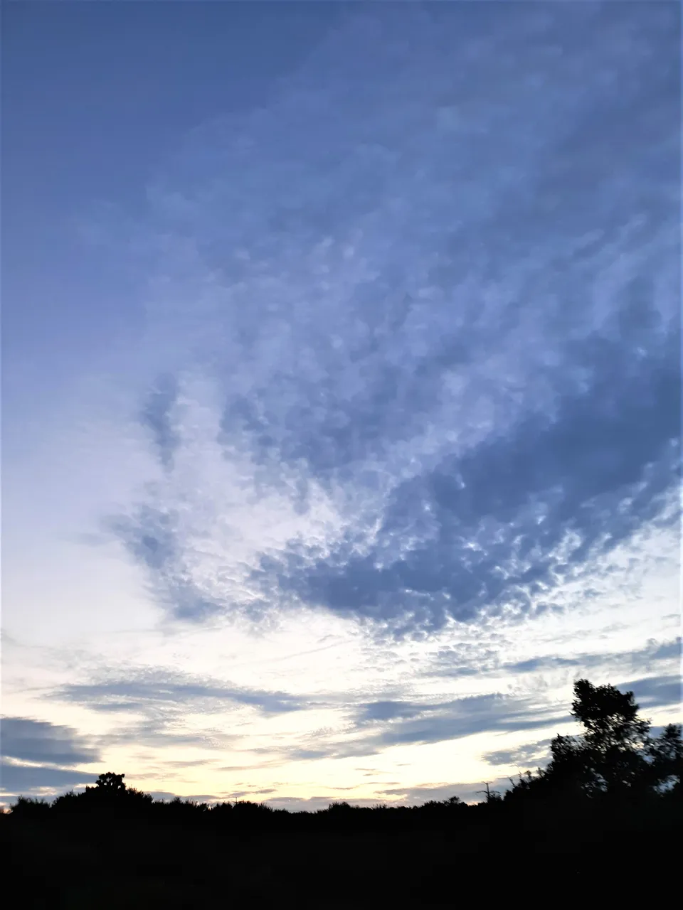 20200801_202140 2.jpg