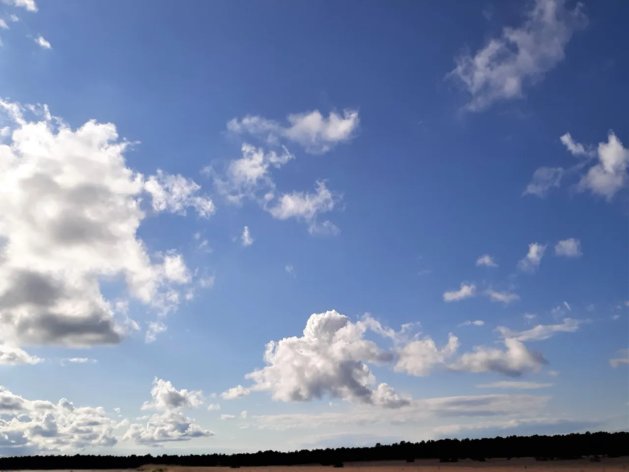 20201005_160057 2.jpg