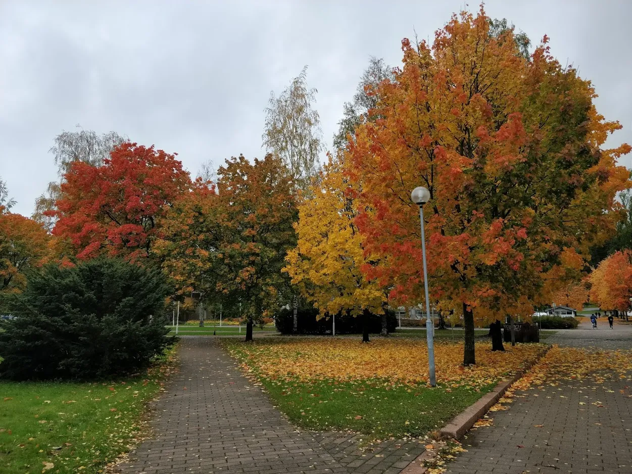 IMG_20191001_092750.jpg