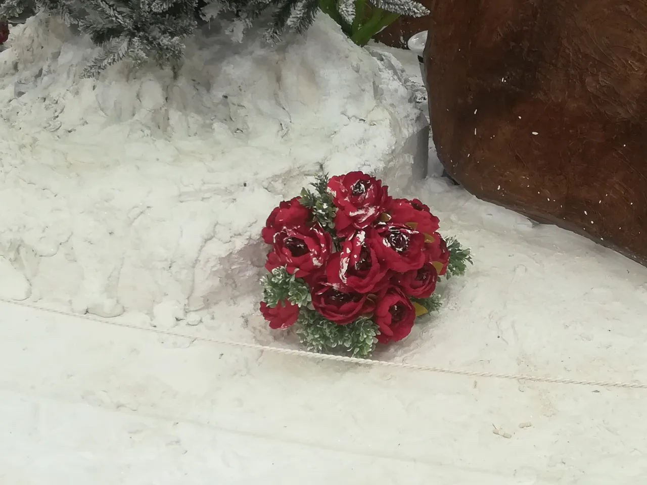 IMG_20201103_130126.jpg