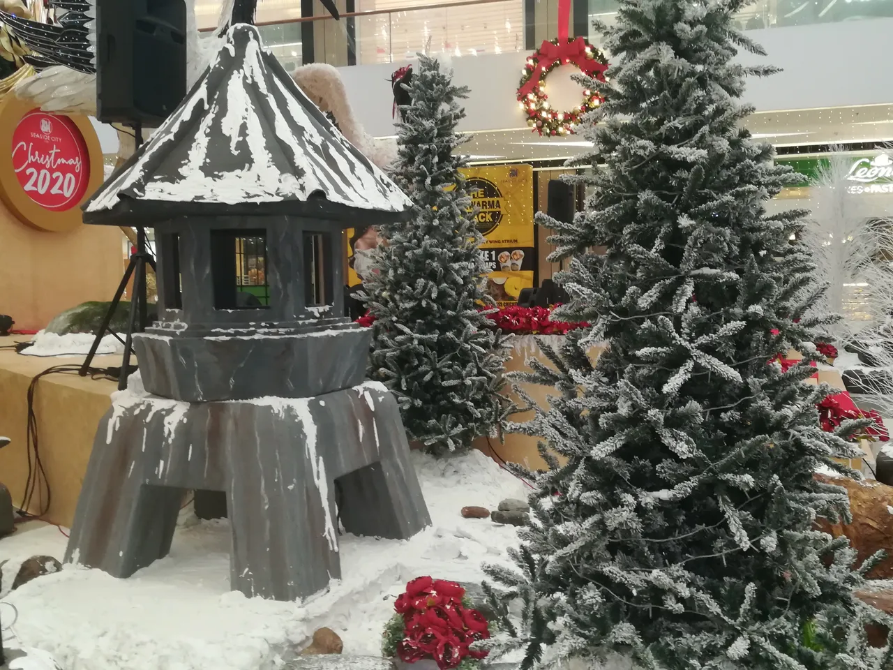IMG_20201103_125510.jpg