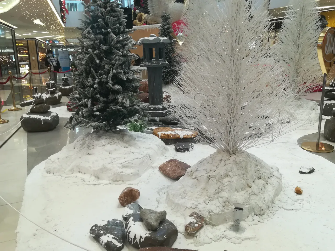IMG_20201103_125658.jpg