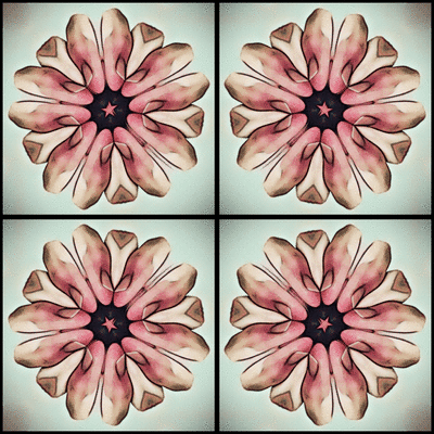 imageedit_6_2953799481.gif