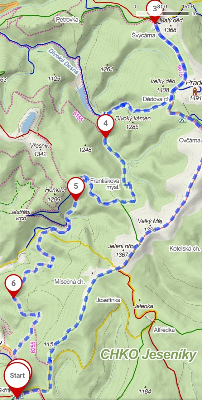 Trail // Trasa