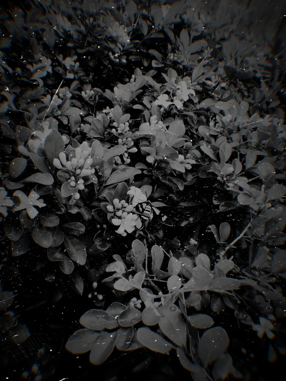 Lumii_20200925_192726160.jpg