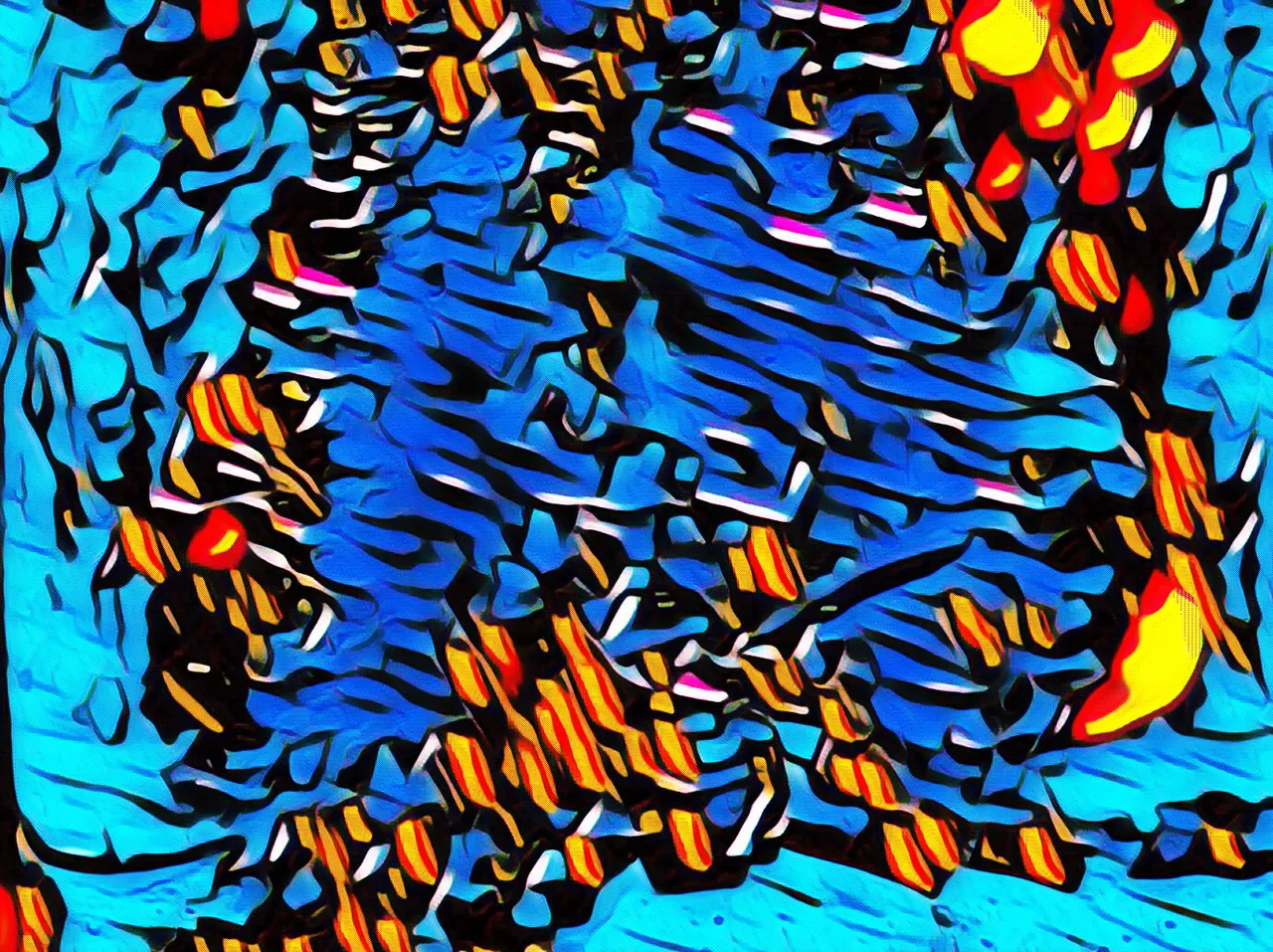imageedit_12_2239362515.jpg