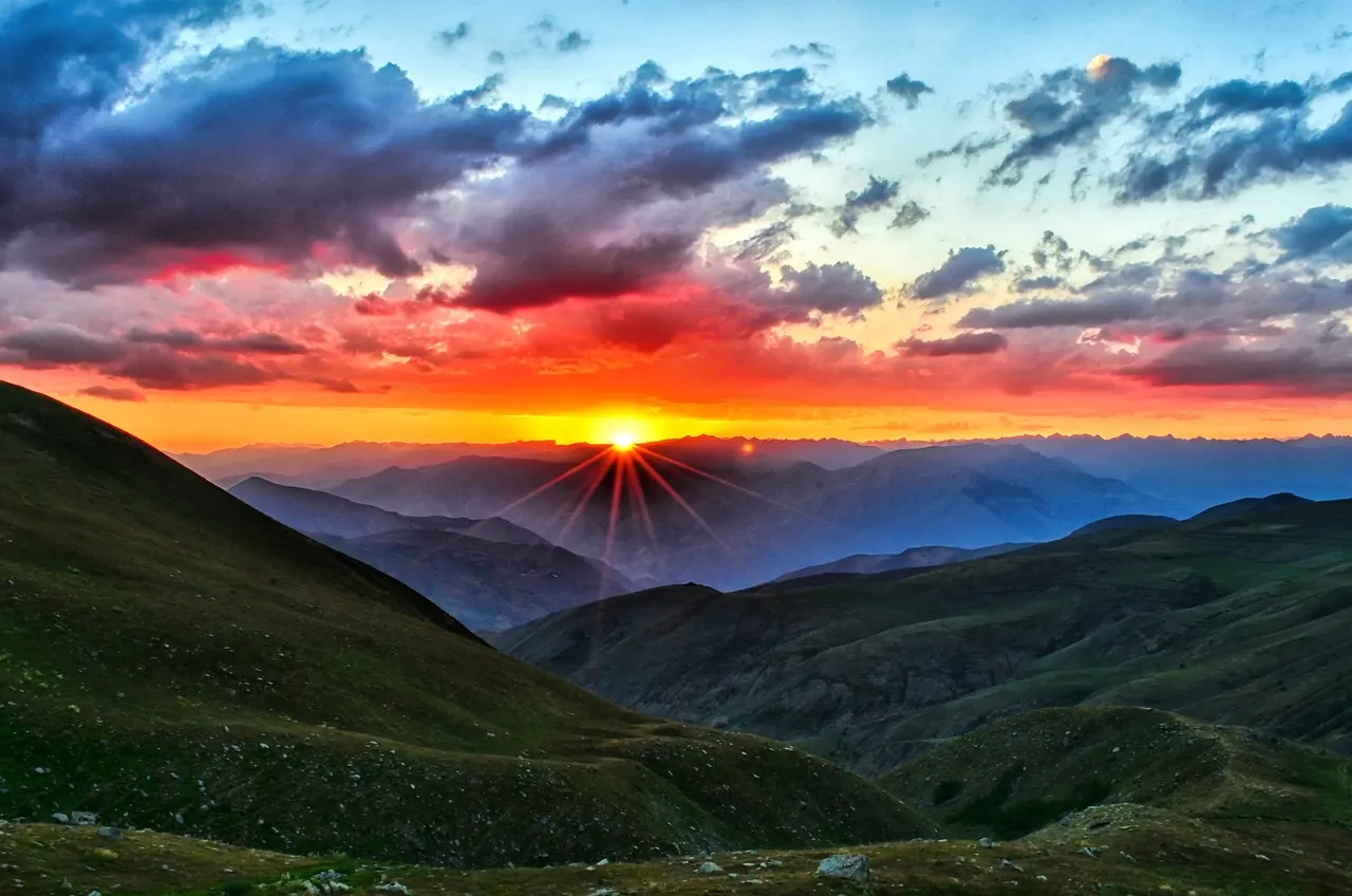 nature3106216_1280.jpg