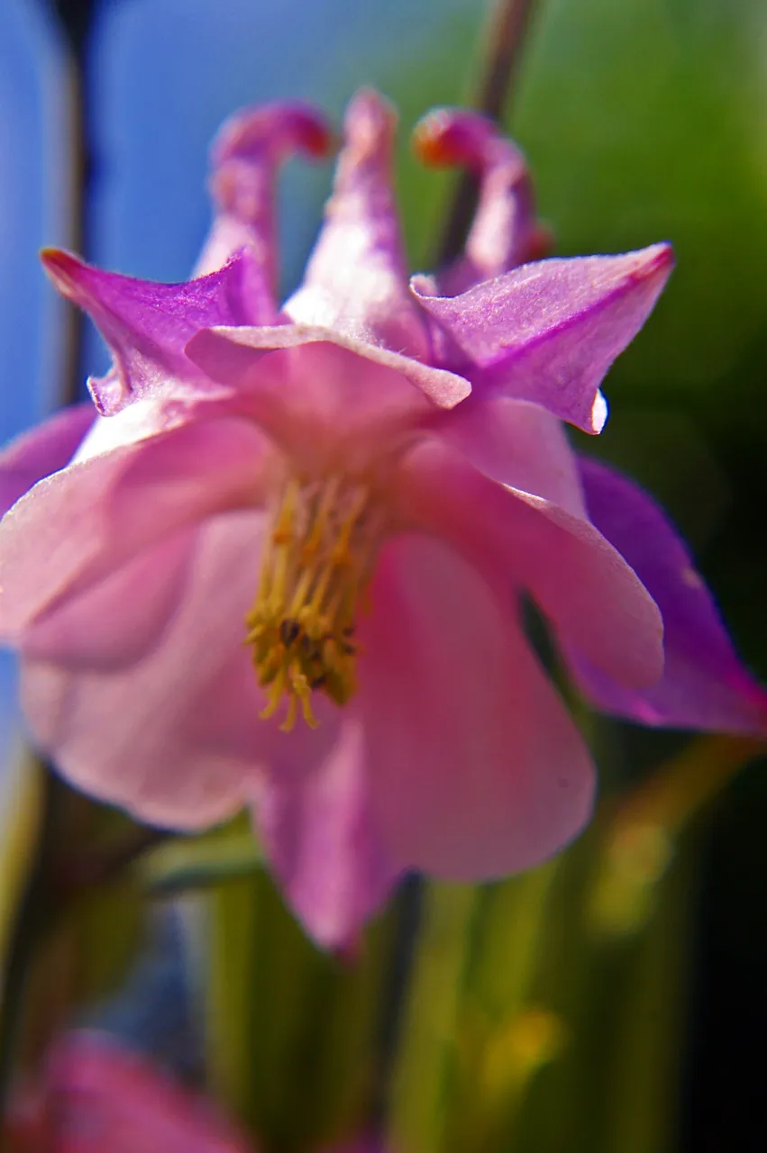 IMGP2068_2020edit.JPG
