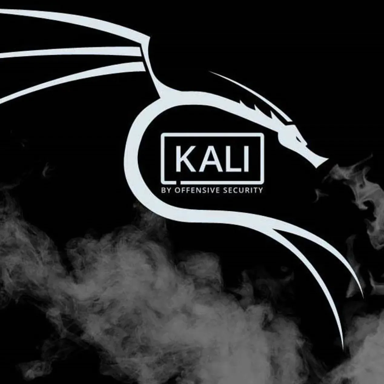 kalilinux20194.webp