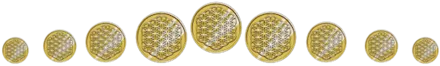 seed coin border.png
