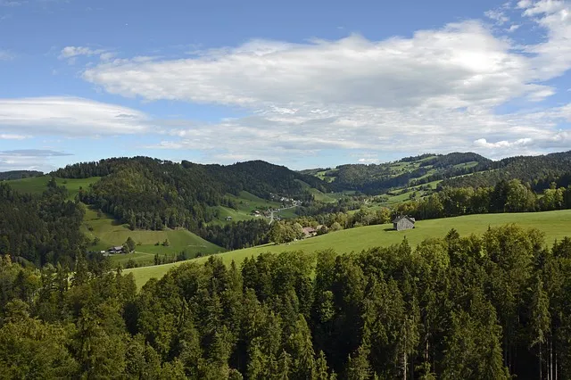 landscape3708301_640.jpg