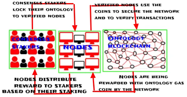 ONTOLOGY STAKING.png