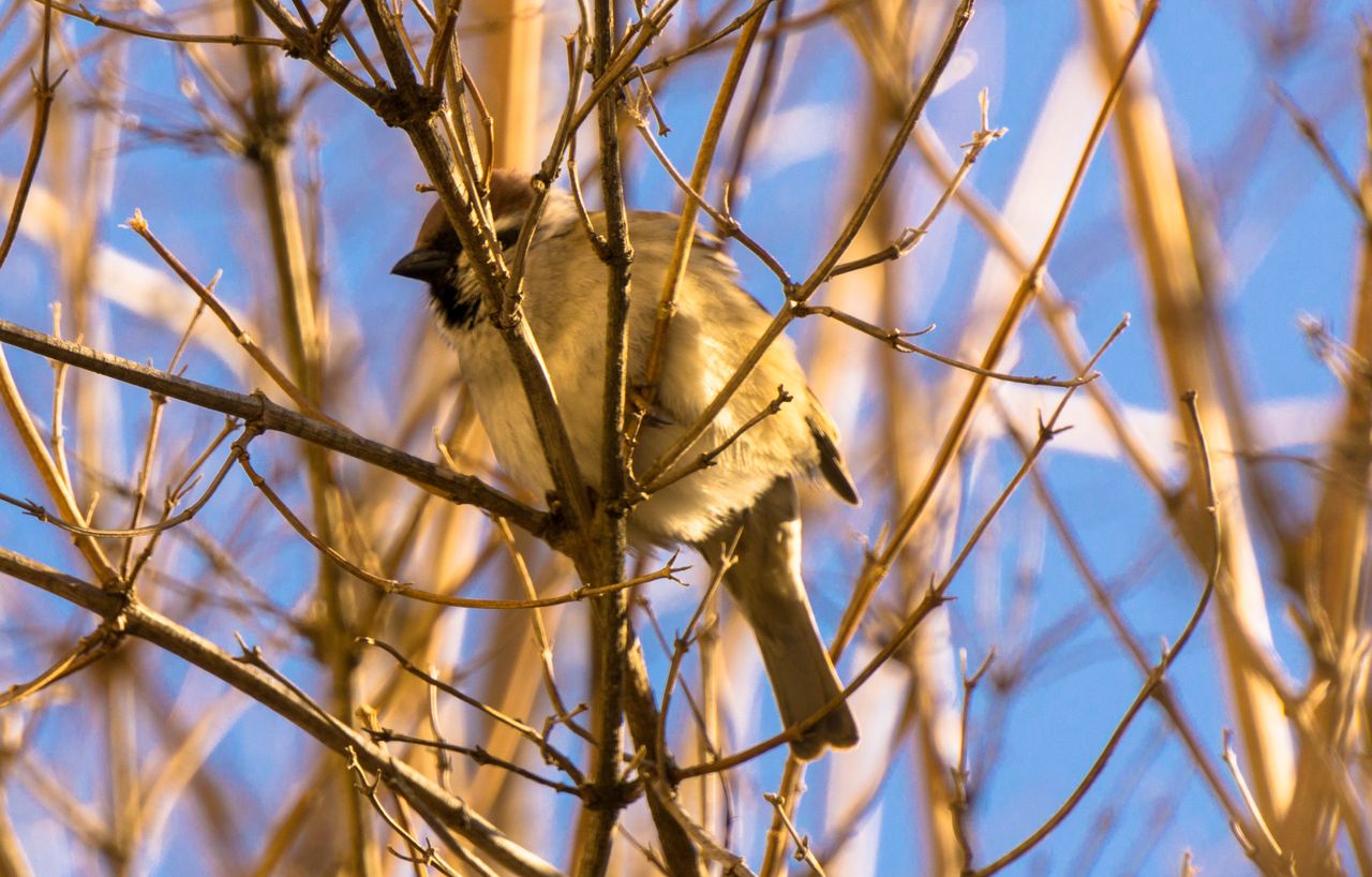 dsc01072.jpg