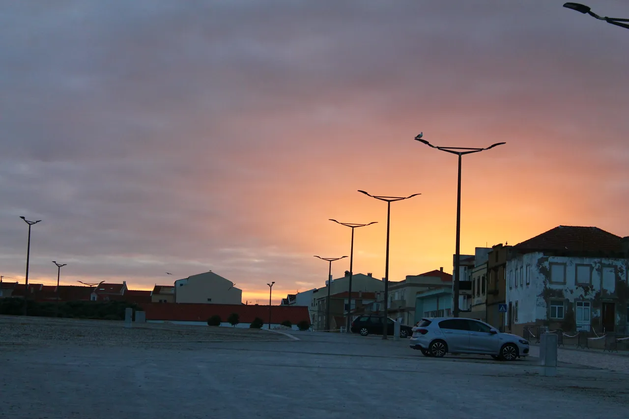 img_8817.jpg