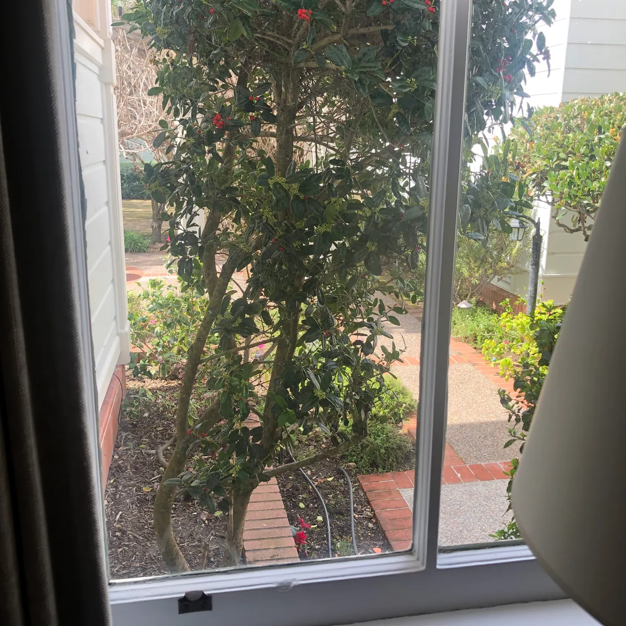 Wednesday Walk around House