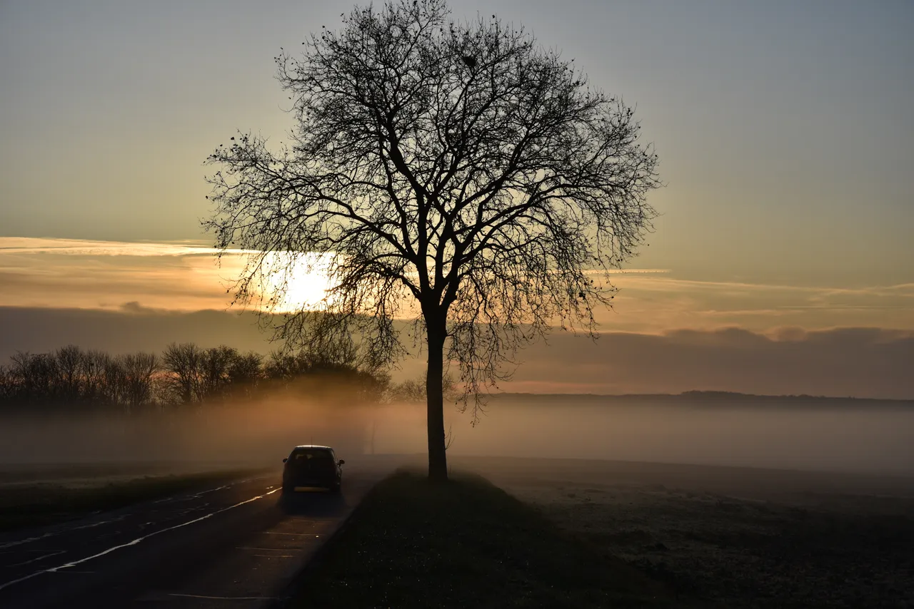dsc_0507.jpg