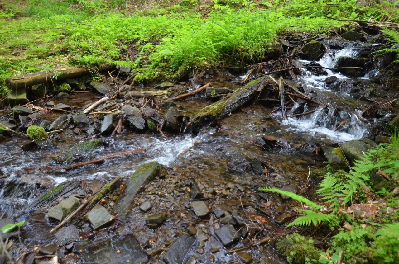 dsc_0162.jpg