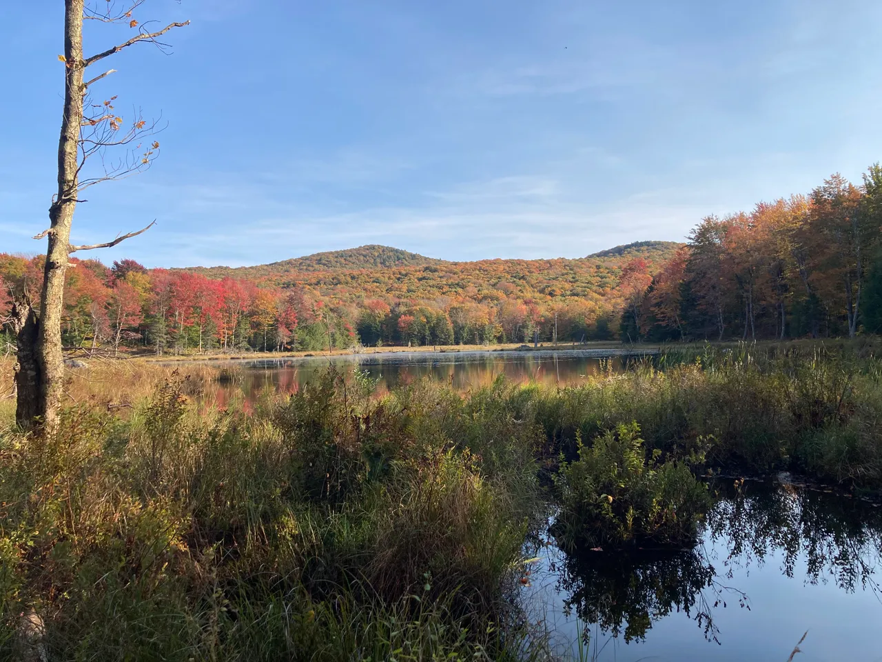 Abby Pond