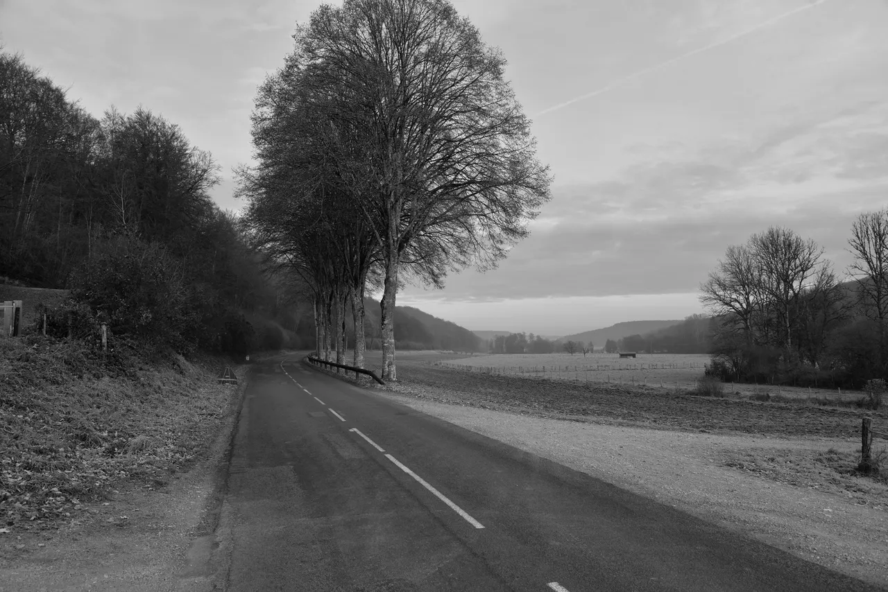 dsc_6306.jpg