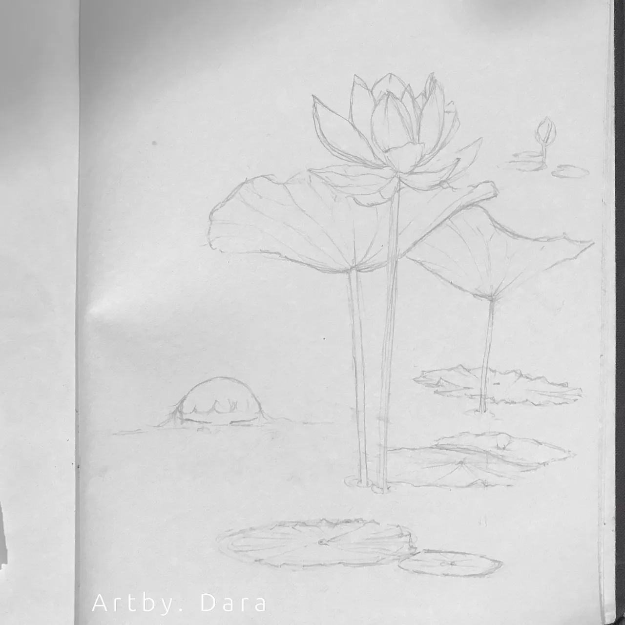 Drawing A Lotus Flower With Simple Colored Pencils | - YouTube