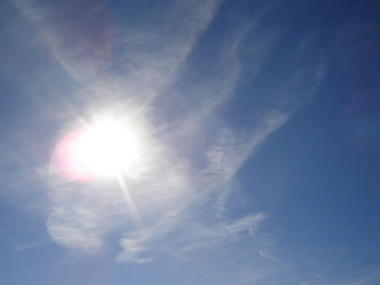 dsc00476.jpg