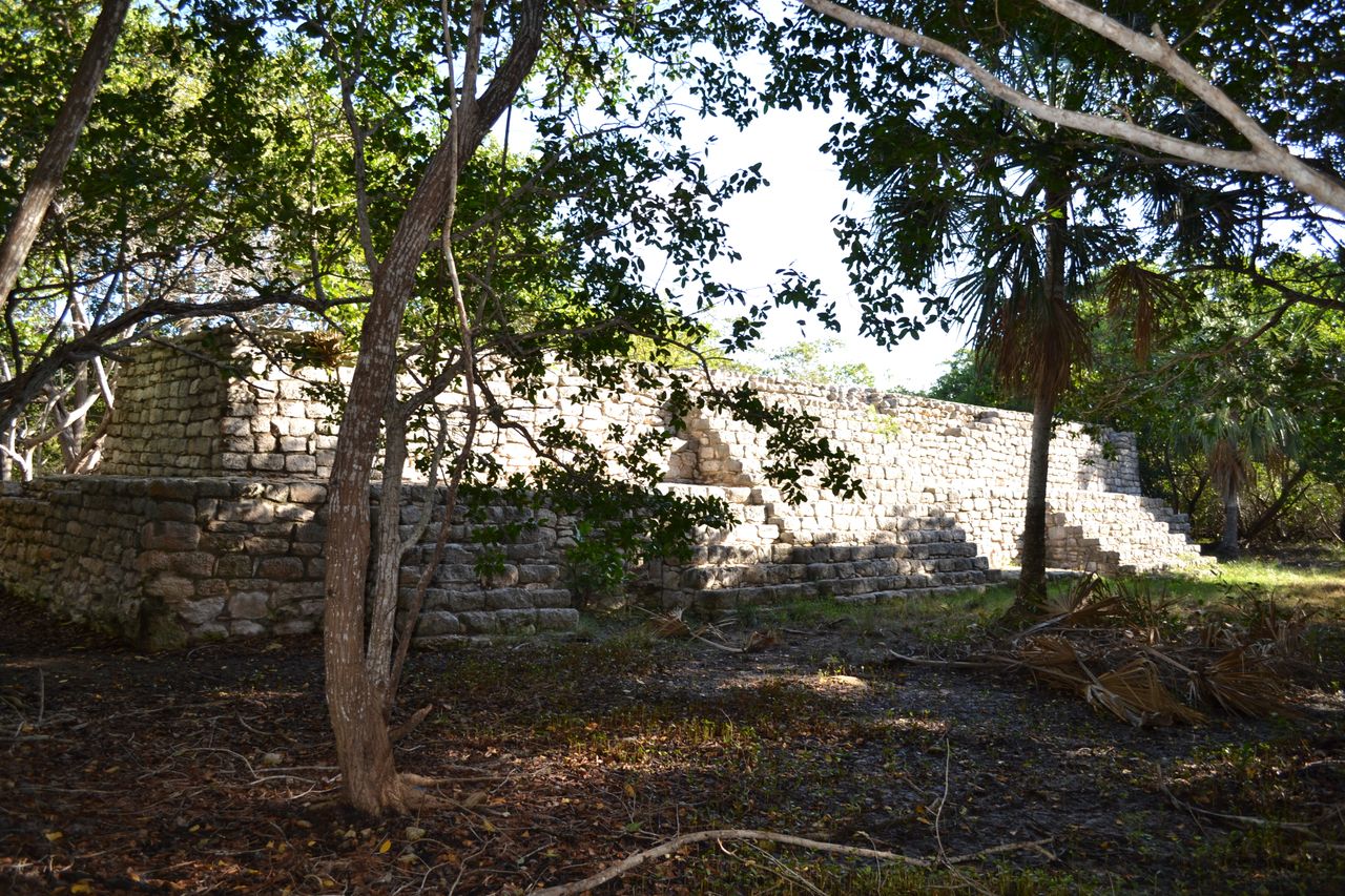 dsc_0279.jpg