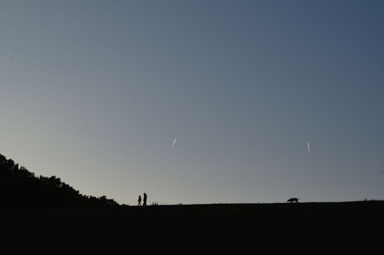 dsc_3252.jpg